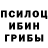 Псилоцибиновые грибы Psilocybe NE4EST