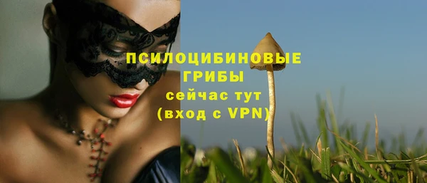 спайс Алзамай