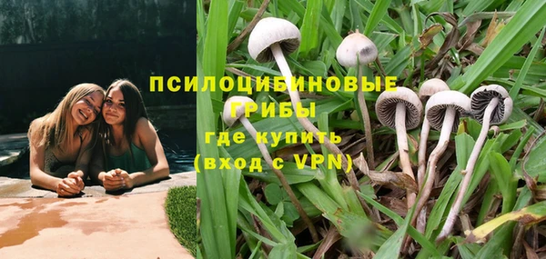 спайс Алзамай
