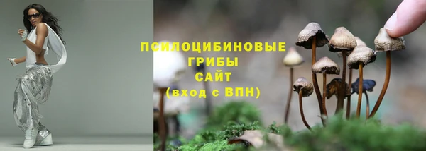 спайс Алзамай