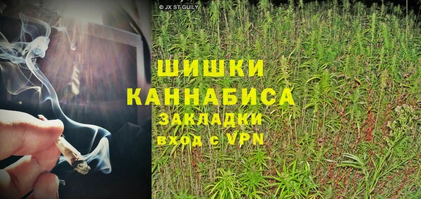 спайс Алзамай