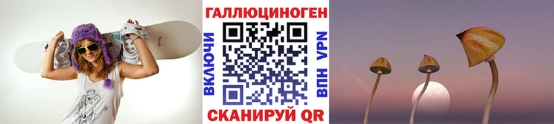 закладки  Арск  Галлюциногенные грибы Cubensis 